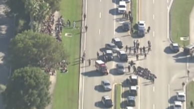 Florida shooting: 17 killed, Indian-American injured, suspect arrested