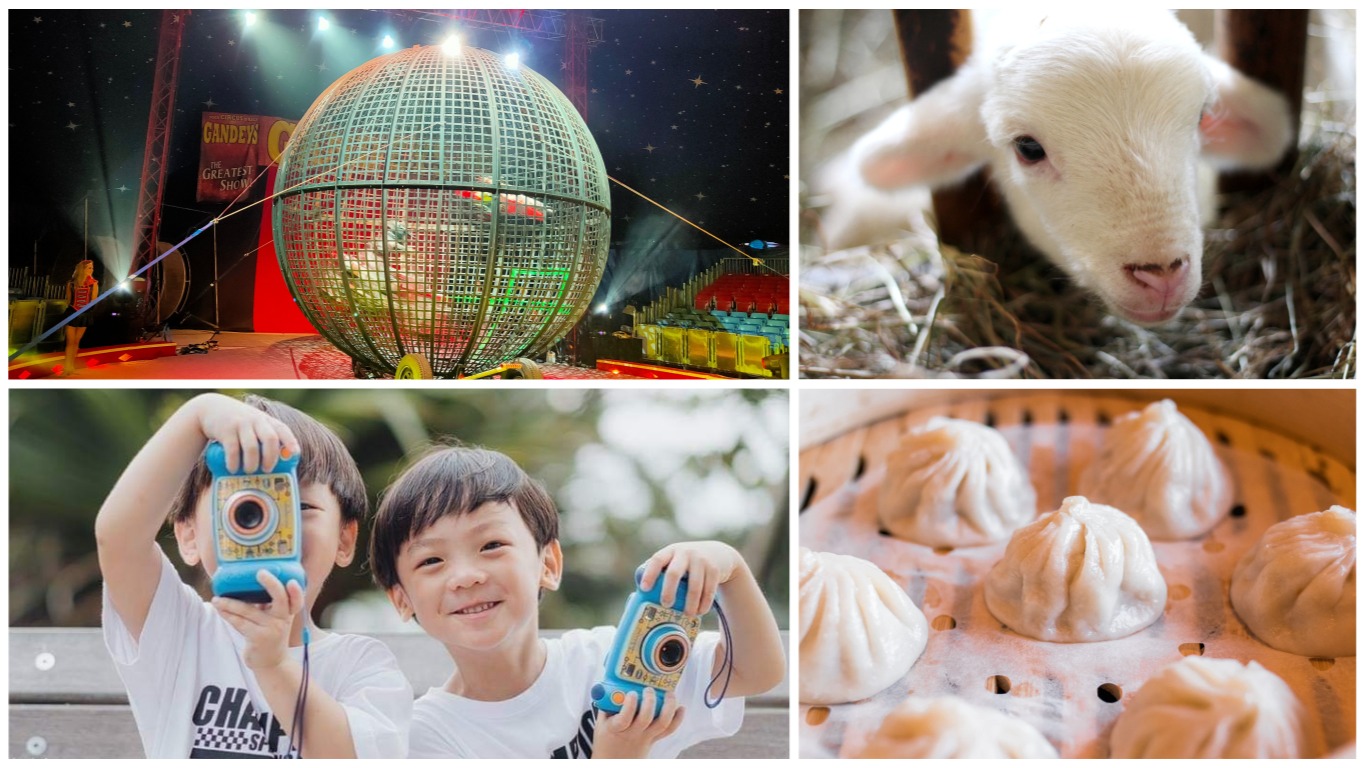 Five things to do in Singapore over the weekend of December 27-29