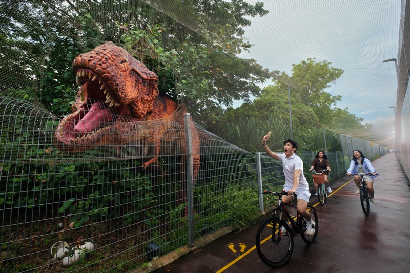 Changi Airport layover: Transit passengers get free bicycles to enjoy Singapore sights