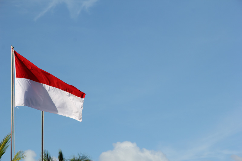 Indonesia mulls visa-free entry for tourists from India, 19 other nations