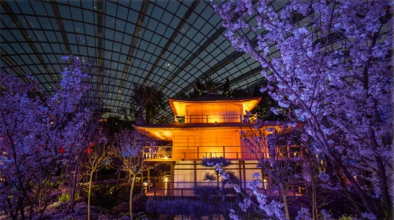 Gardens by the Bay’s Sakura 