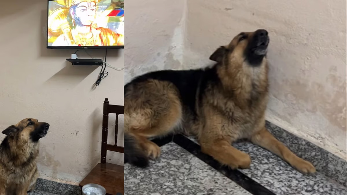 WATCH: Dog channels its inner devotee, ‘sings’ Hanuman Chalisa