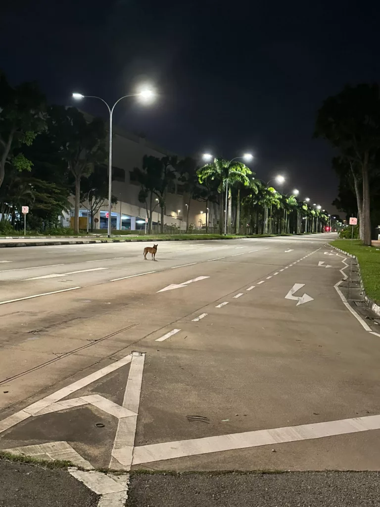 Night walk in Singapore