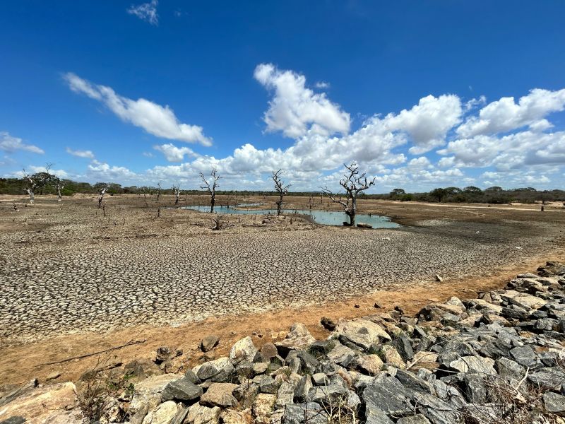 Worldwide, some of the most widespread and damaging drought events in recorded history have occurred in recent years due to climate change and resource depletion.