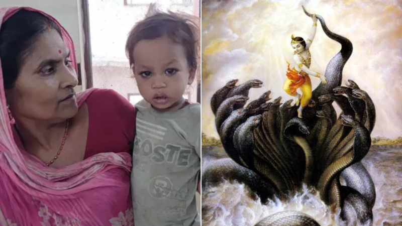 Indian boy kills snake