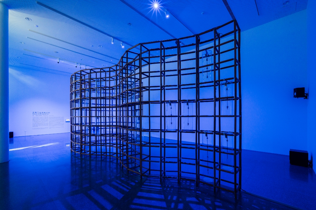 Installation at When Art Meets Nature