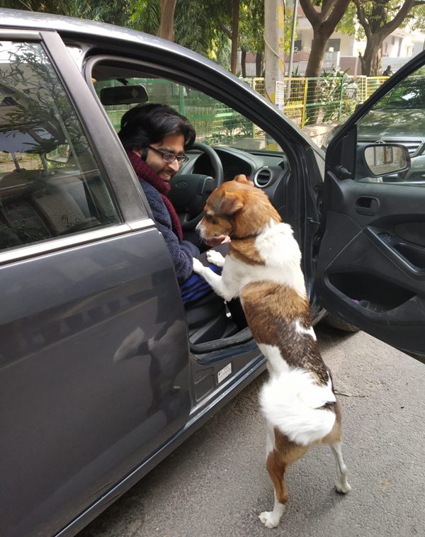 Columnist and street dog caregiver Akaash Dasgupta with a community dog in New Delhi