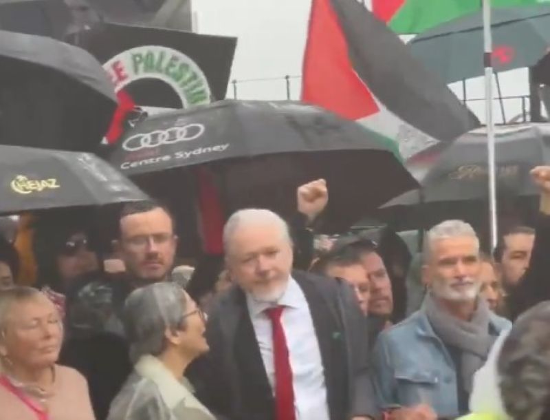 A large number of pro-Palestine marchers, including WikiLeaks founder Julian Assange, joined a protest march on Australia's iconic Sydney Harbour Bridge.