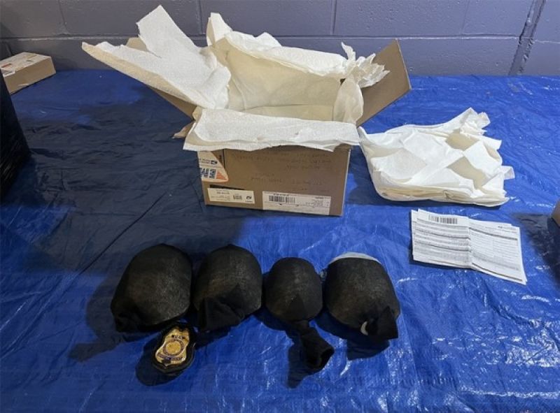 A Chinese man has pleaded guilty in the U.S. District Court for the Western District of New York for falsely labelling live turtles as fake toys before exporting them in delivery boxes on a weeks-long journey to Hong Kong.