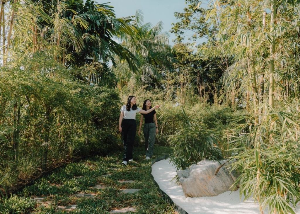 Changi Bamboo Grove