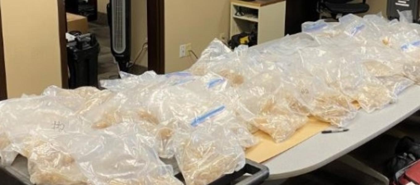 Indian man gets 17-year jail term in US for smuggling USD 8 million worth of MDMA